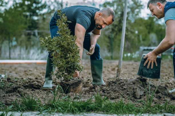 Best Arborist Consultation Services  in Salem, NJ